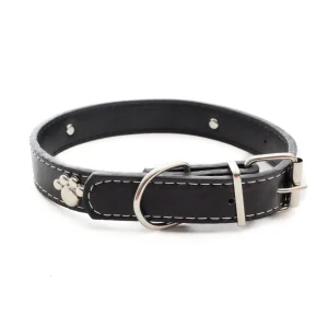 Collier pour animaux motif patte